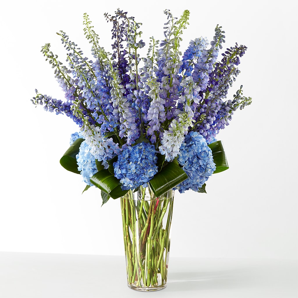 The Editorial –  Gibney-sims Flowers, Hannibal MO