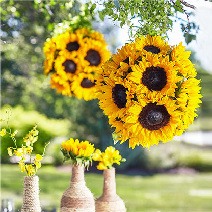 Sublime Garden Hanging Arrangement –  Gibney-sims Flowers, Hannibal MO