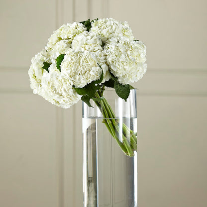 White Hydrangea Hand-Tied Bouquet –  Gibney-sims Flowers, Hannibal MO