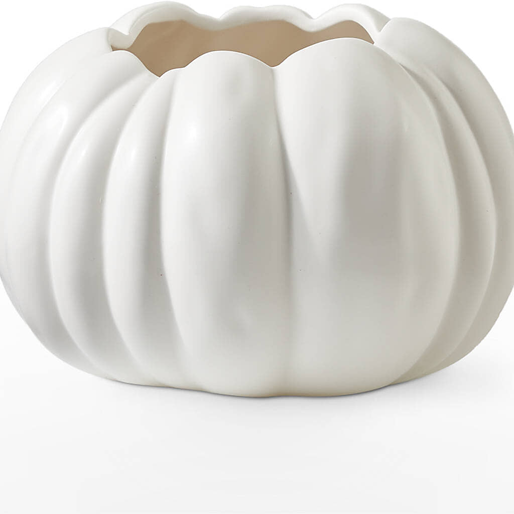 Autumn Air Pumpkin Bouquet –  Gibney-sims Flowers, Hannibal MO